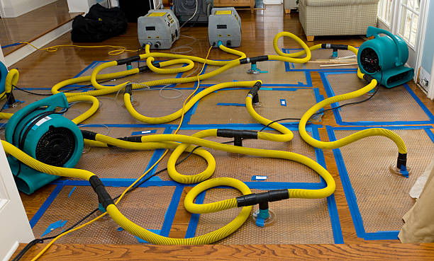 Professional Flood Damage Restoration technician working in Chama, NM